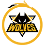 Natus Vincere